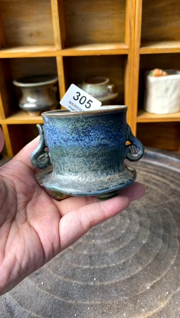 305【多肉花盆多肉盆】