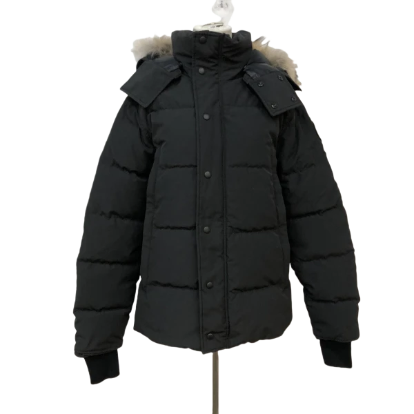 妃鱼/加拿大鹅/聚酯纤维/羽绒服/95新/琰二20