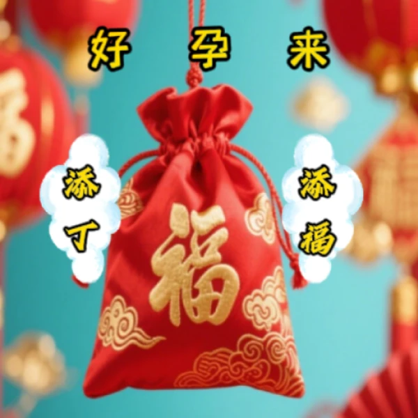 【好】求籽得籽手工刺绣挂饰【孕】