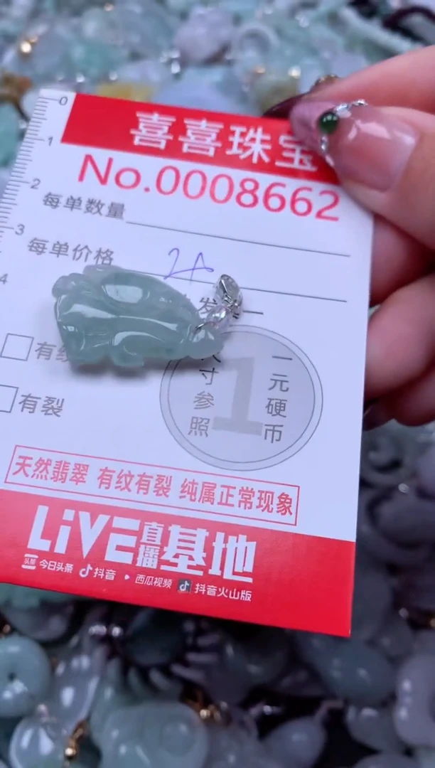 颈饰未镶嵌翡翠8662