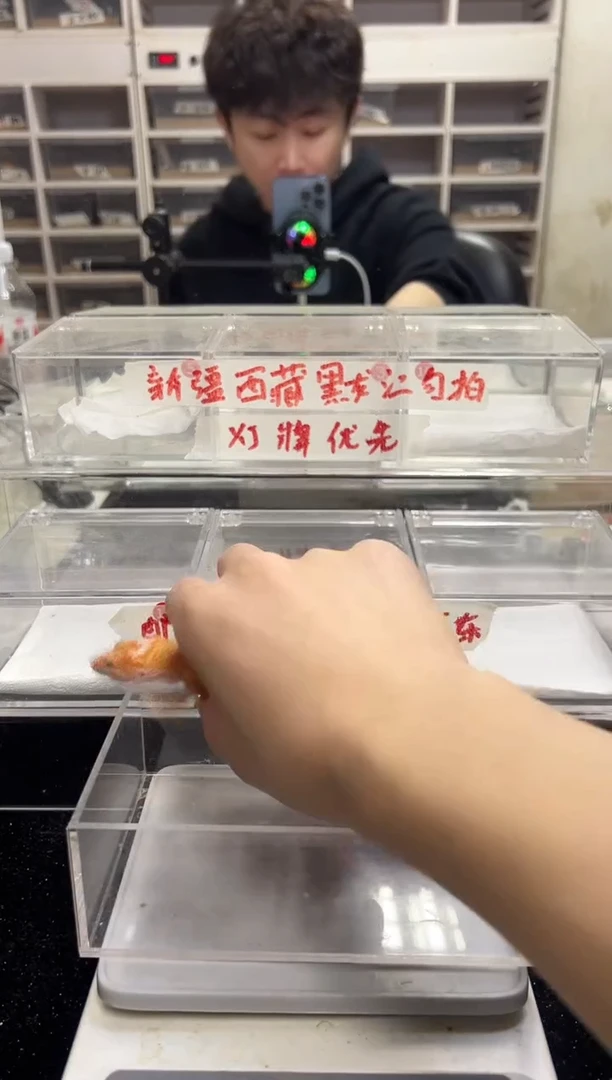 豹纹守宫32豹纹守宫