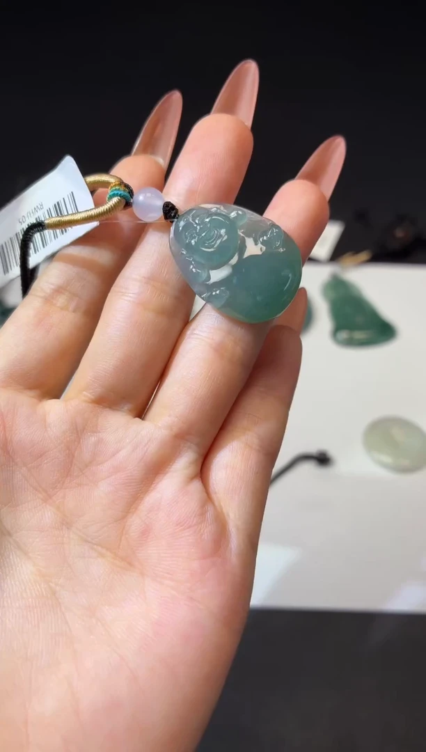 翡翠未镶嵌颈饰DLZ250618RWHJ-05-多样性发其一