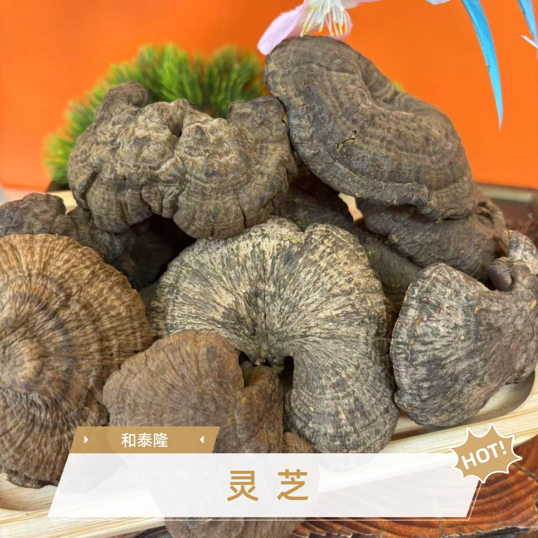 和泰隆   海南雪灵芝  汤料1-500克