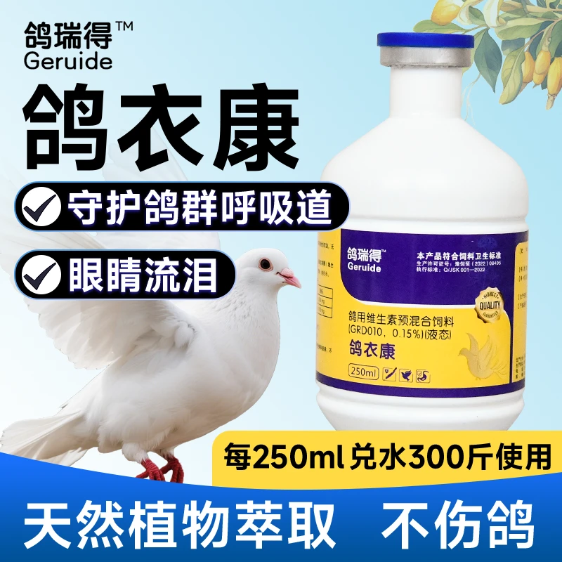 鸽衣康单眼伤风眼睛流泪流鼻涕打喷嚏眼睑红肿呼吸困难鹦鹉热原体