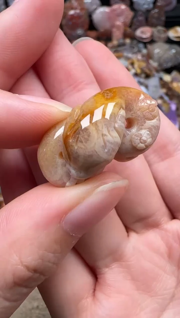 颈饰未镶嵌硅化珊瑚（珊瑚玉）265