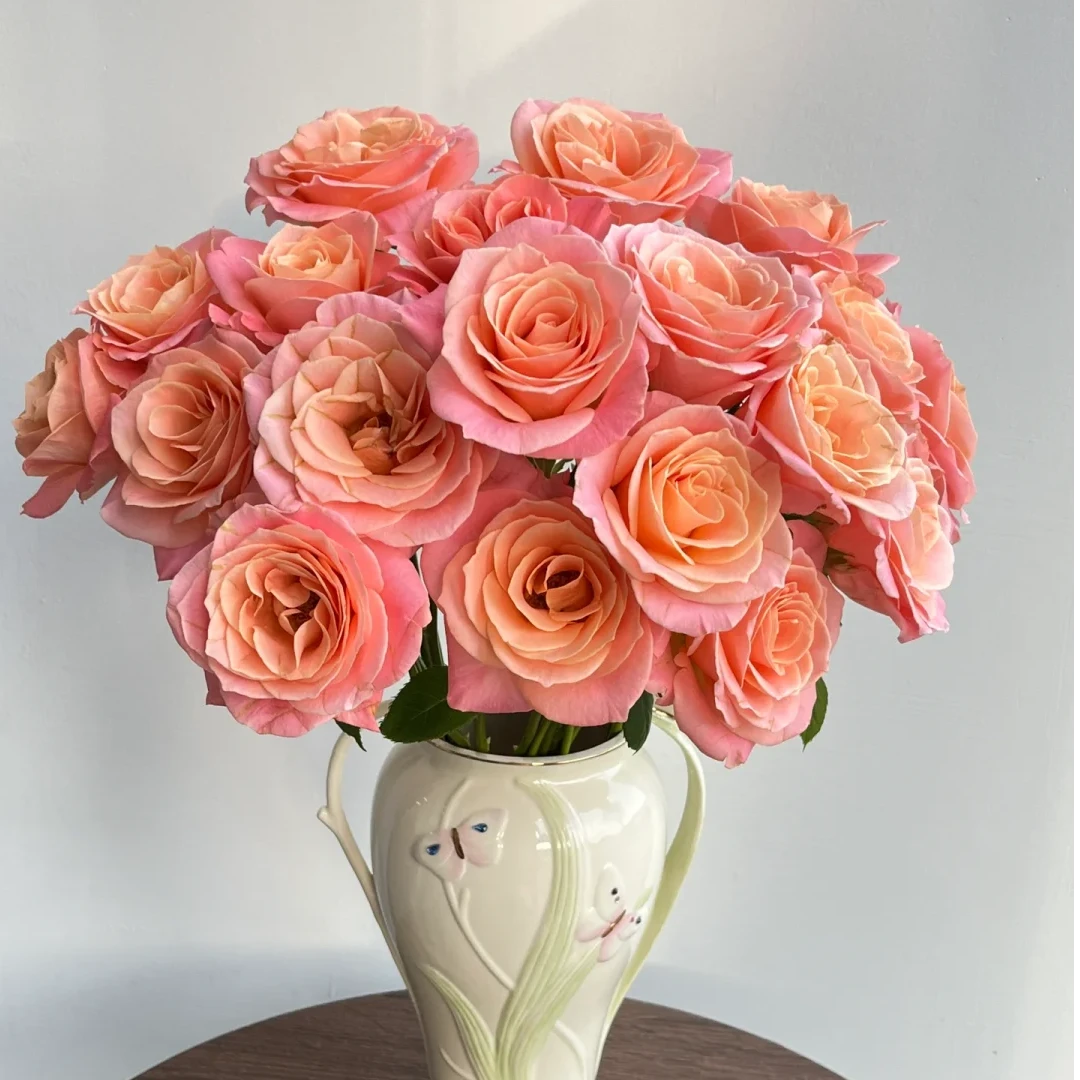 朱小姐玫瑰10支 包邮【1单中通 2单顺丰京东】云南鲜花