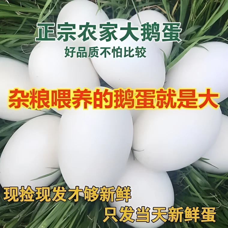 [小田补贴]散养双黄土鹅蛋现捡现发拍六枚送六枚120-140g