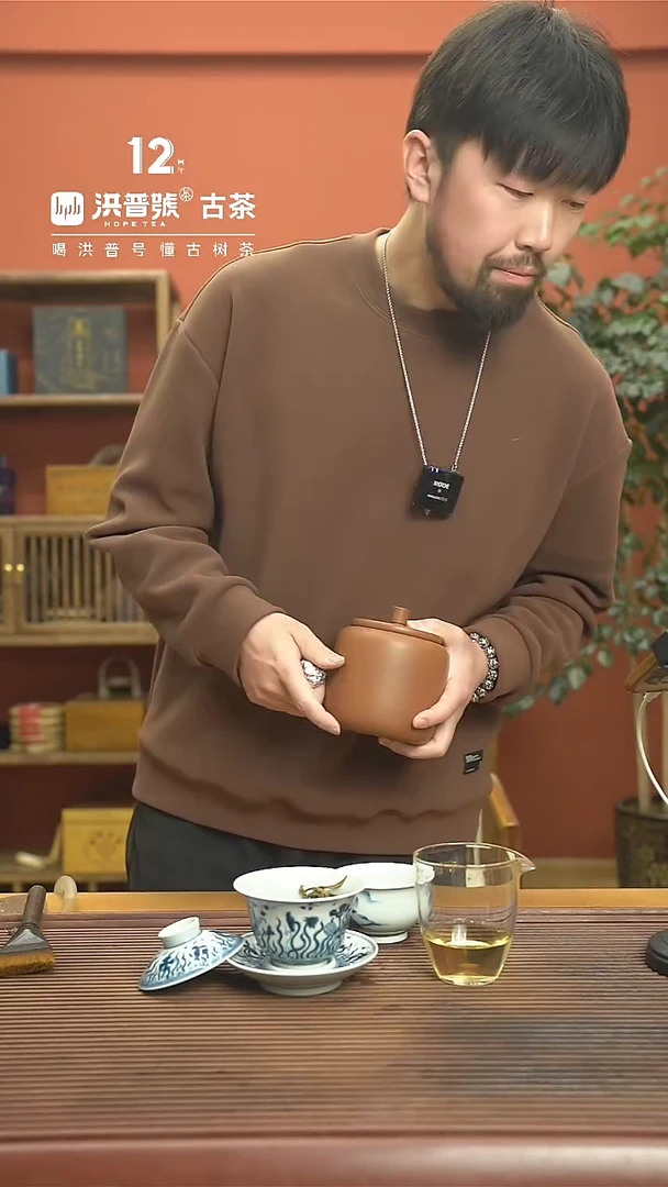 【闪购商品】2024【冰岛坝歪】生茶焖泡小龙珠75g