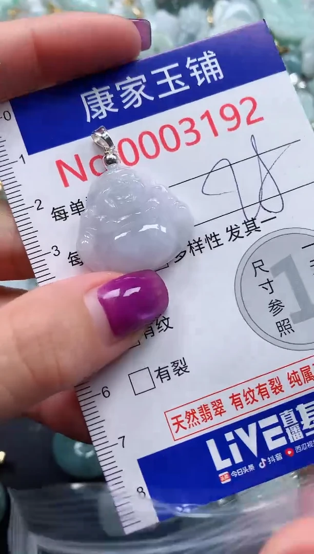 颈饰未镶嵌翡翠3192