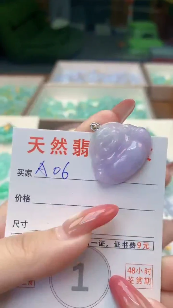 颈饰未镶嵌翡翠天然A货翡翠挂件