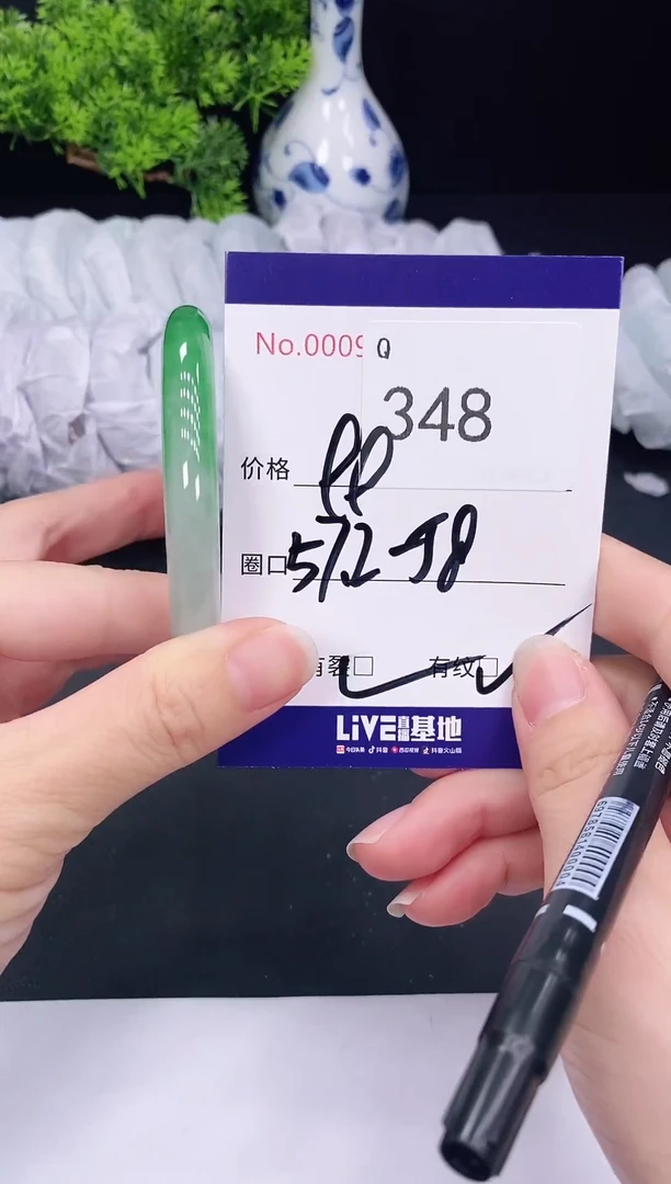 未镶嵌手镯翡翠348