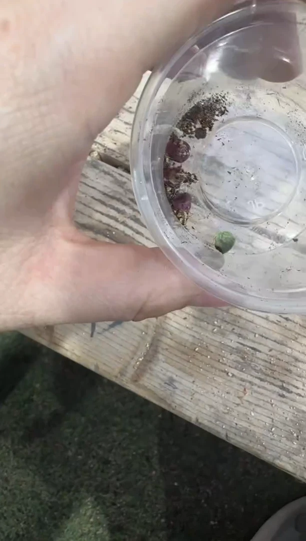 【闪购商品】4-214