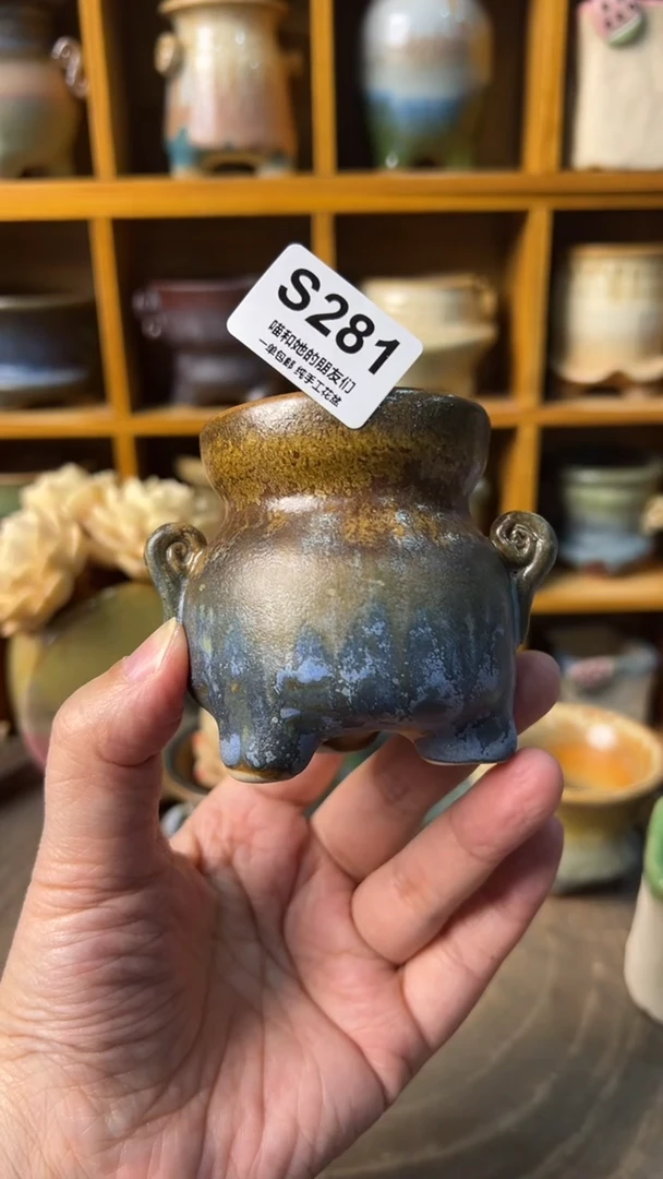 281 内口5【多肉花盆多肉盆】