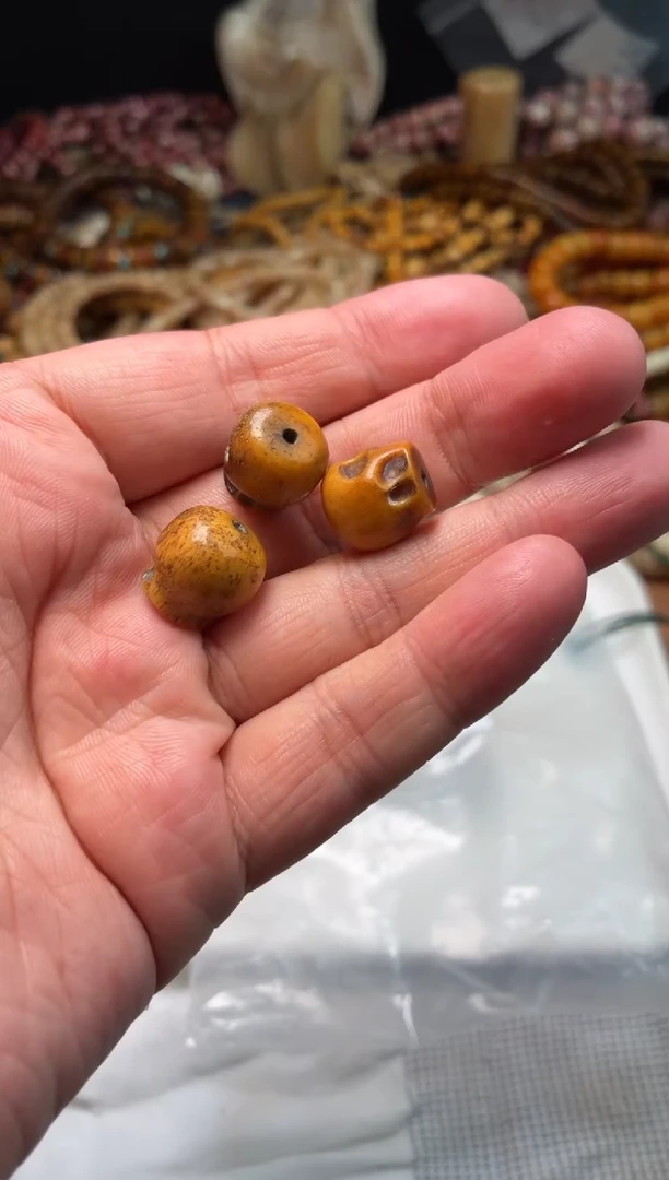 牛骨其他P1171-高密度尸陀林-有棕裂