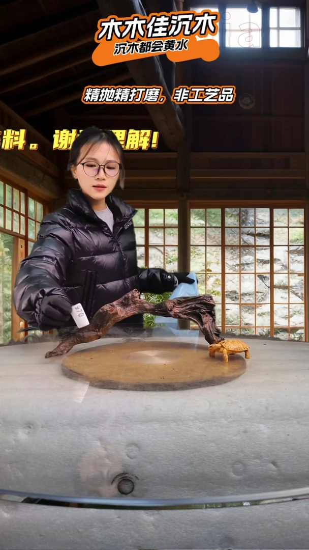 朝**拾木木佳沉木鱼缸造景-970