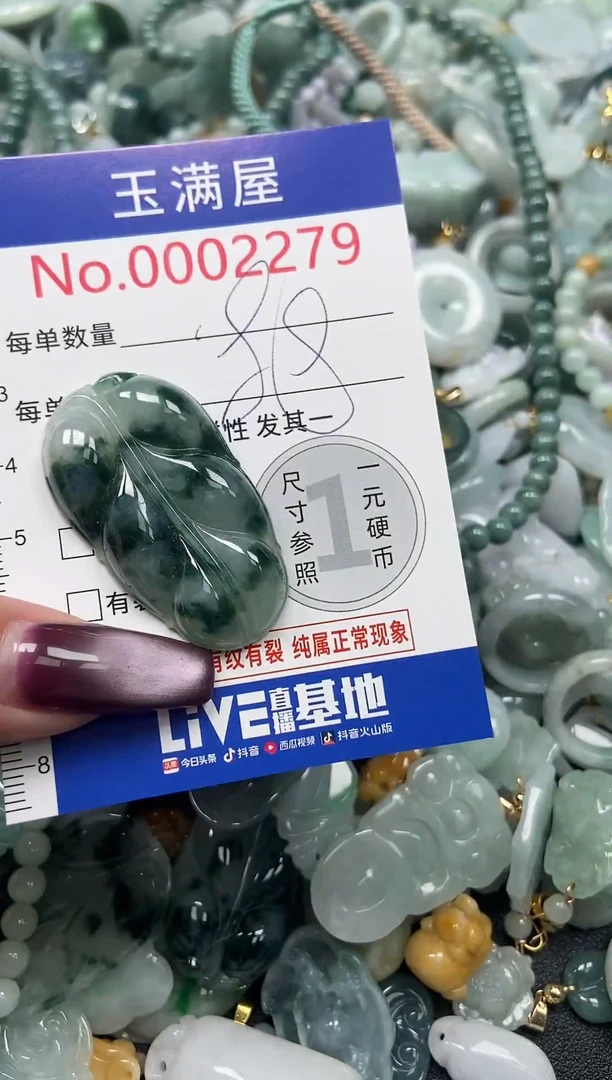 颈饰未镶嵌翡翠2279