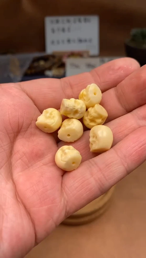 【闪购商品】牛骨其他杂件042-全部一起发