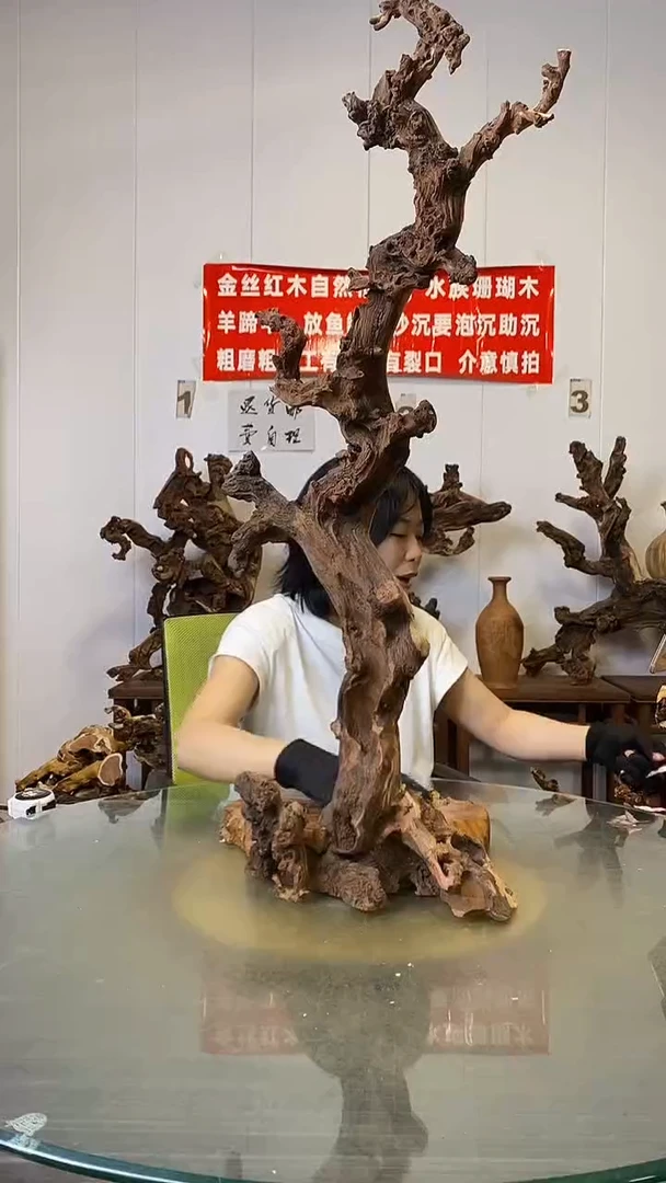 香榧木家***兴金丝红木   羊蹄甲