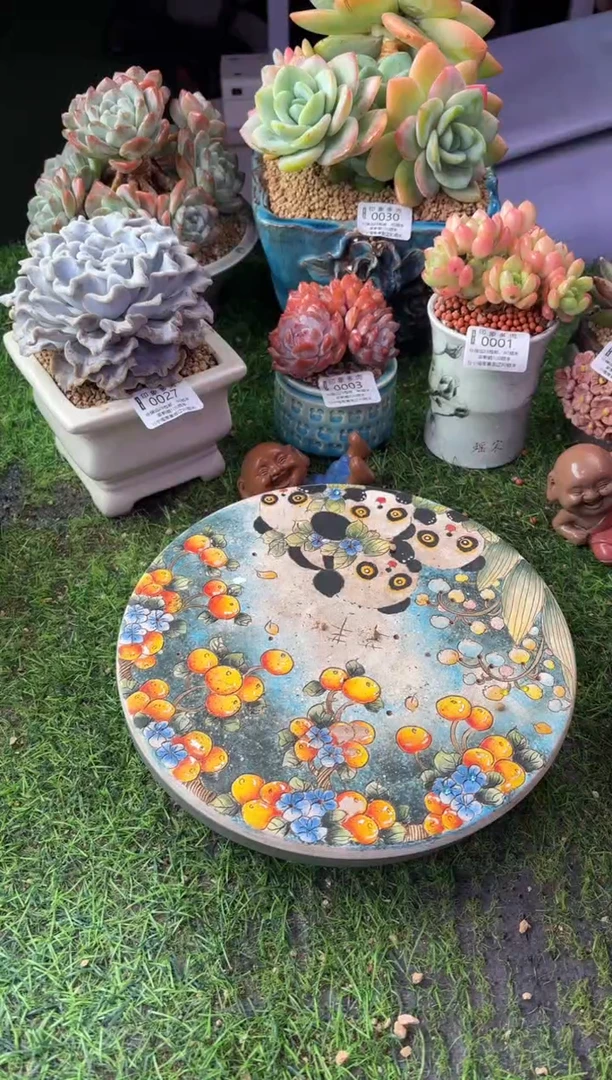 恩****宝昆明印象多肉0005的盆