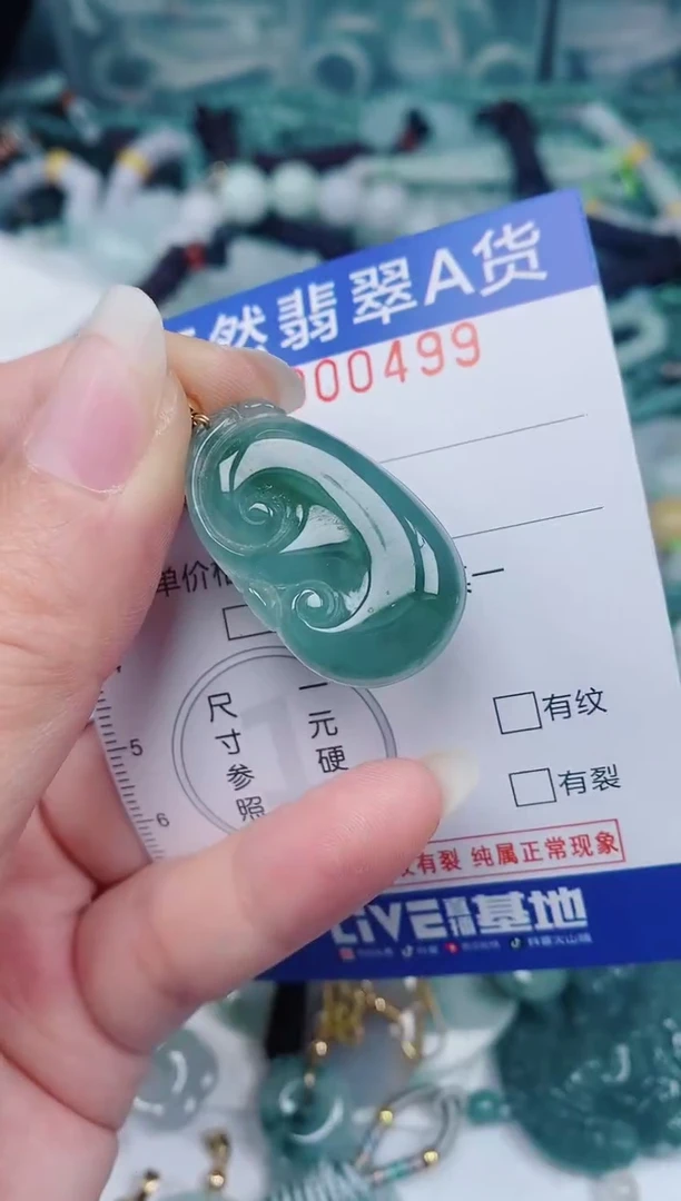 颈饰未镶嵌翡翠00000499