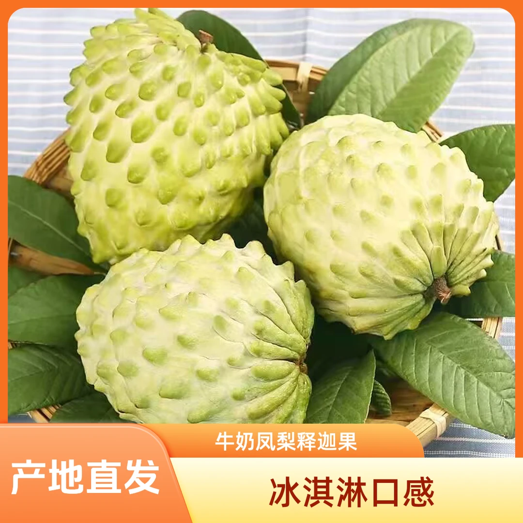 凤梨释迦果精选荔枝佛头大果新鲜现摘当季孕妇水果果农采摘番荔枝