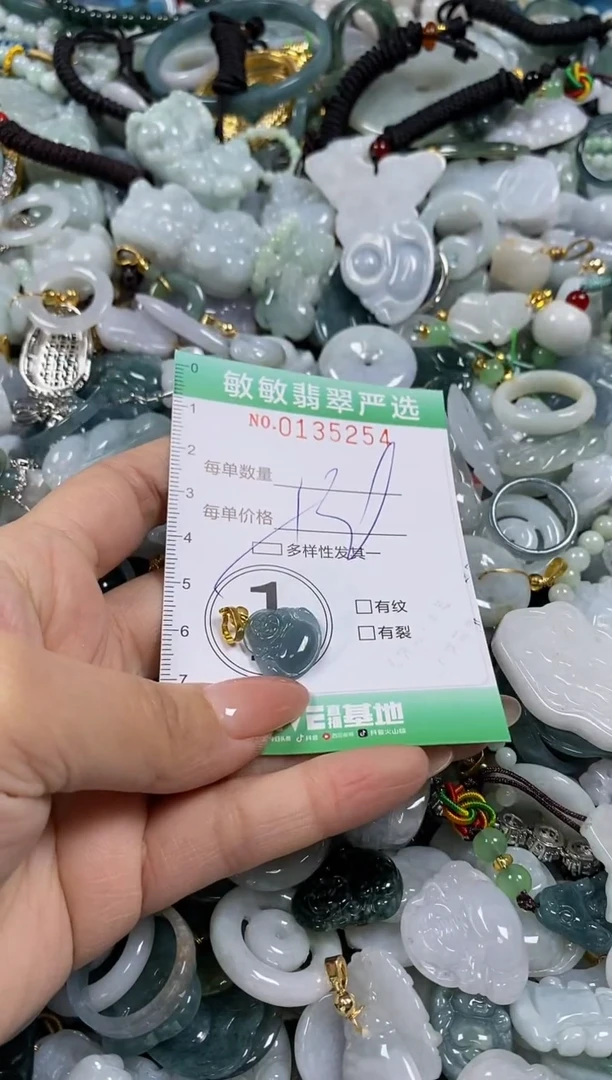 【闪购商品】翡翠颈饰未镶嵌闪购0135254多样性发其一