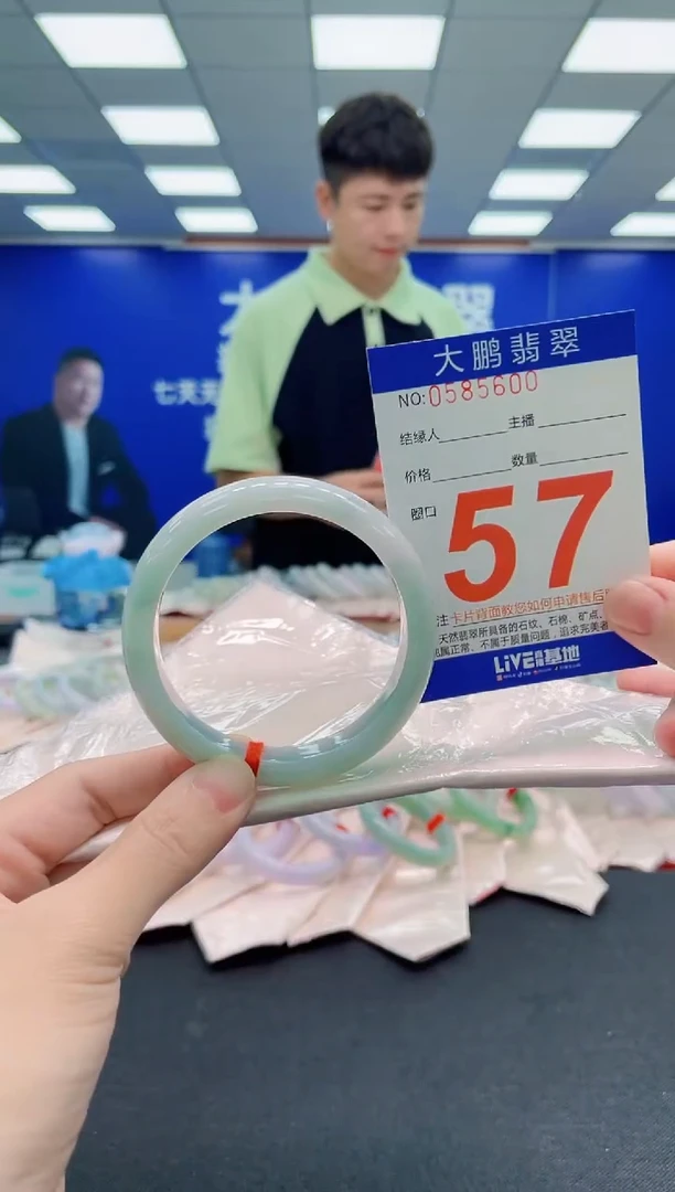 未镶嵌手镯翡翠AAAAAAAAA