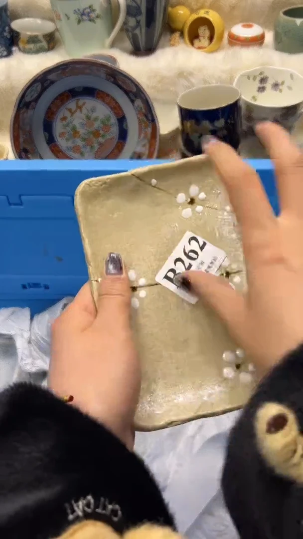 【闪购商品】瓷片          B262