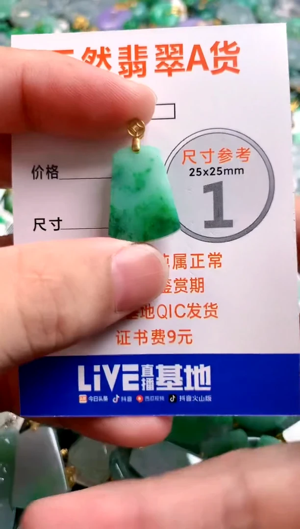 颈饰未镶嵌翡翠13004835