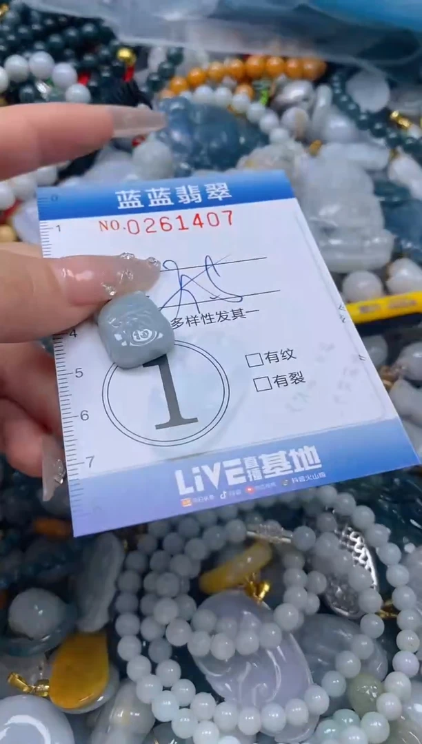 翡翠未镶嵌颈饰闪购0261407多样性发其一