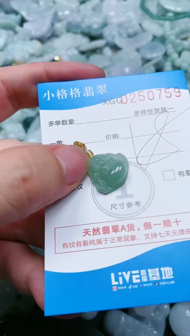 翡翠未镶嵌颈饰闪购商品0250759