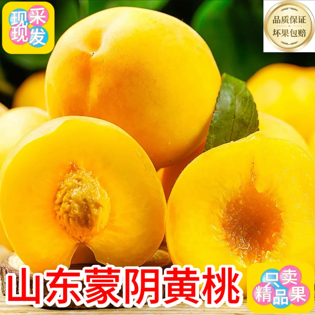 【坏果包赔】y蒙阴黄蜜桃浓香爆汁多甜纸皮黄毛桃水蜜桃时令水果