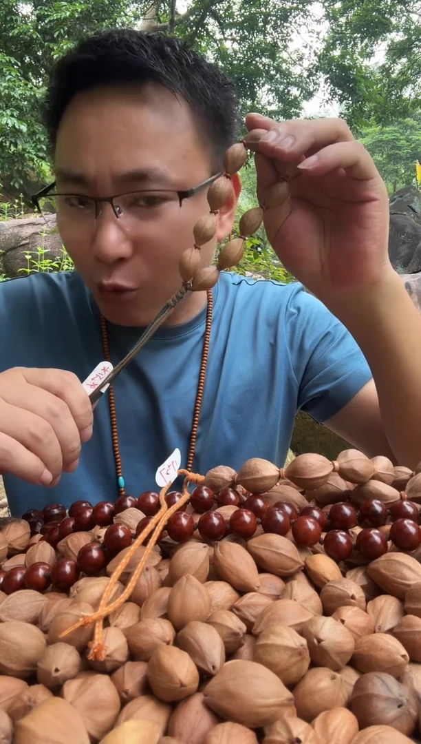 橄榄核手串1526头货 梅林铁核原生态 388