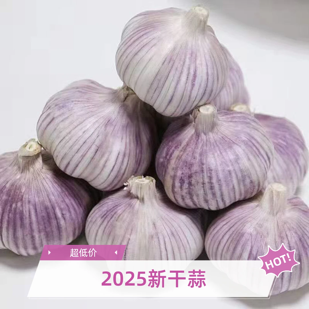 2025正宗紫白皮新干蒜高品质香辣味十足农家自种多瓣大果