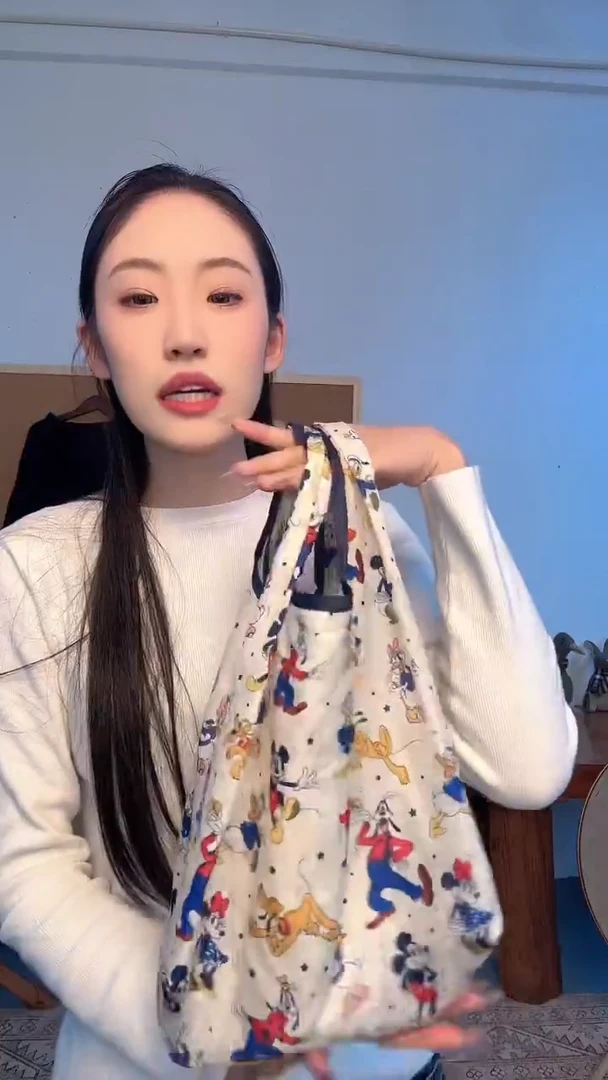 20251023布袋布袋