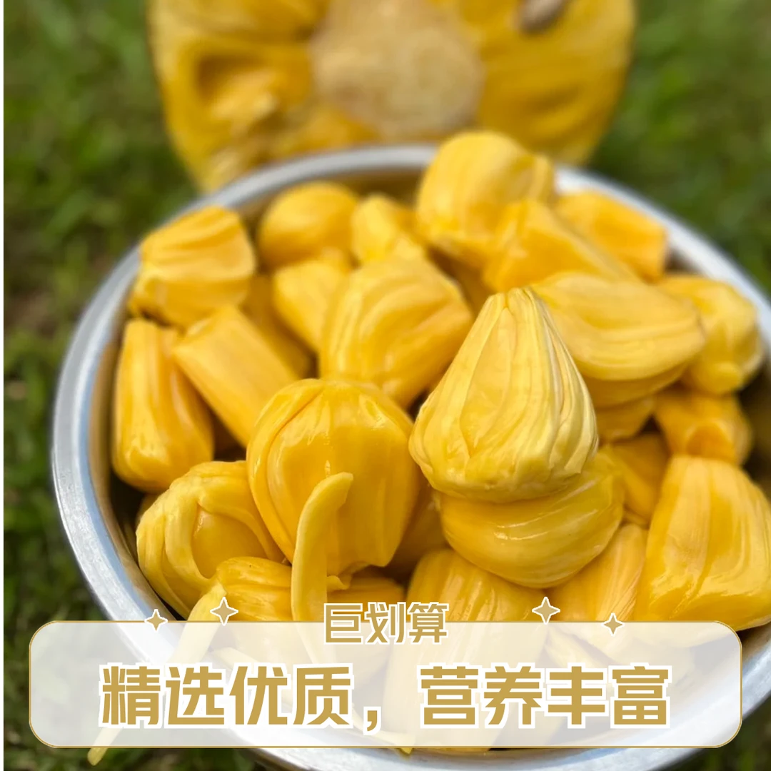 西双版纳泰八干苞黄肉菠萝蜜脆甜奶香味浓郁唇齿留香果园直发