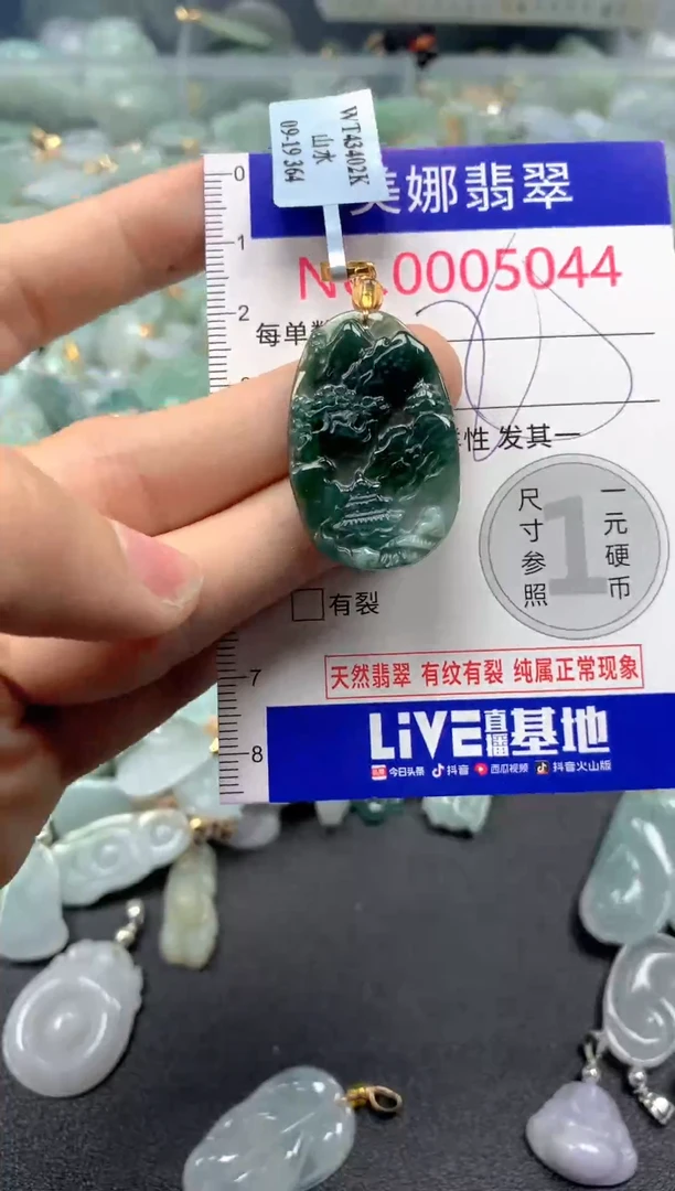 颈饰未镶嵌翡翠5044