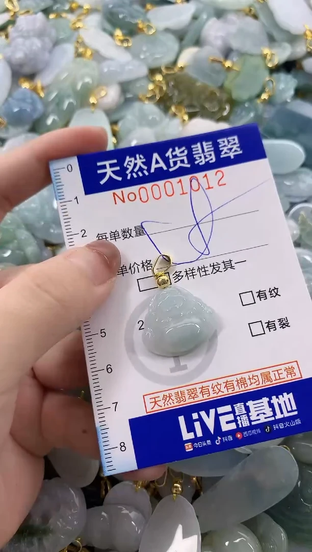 颈饰未镶嵌翡翠天然A货翡翠