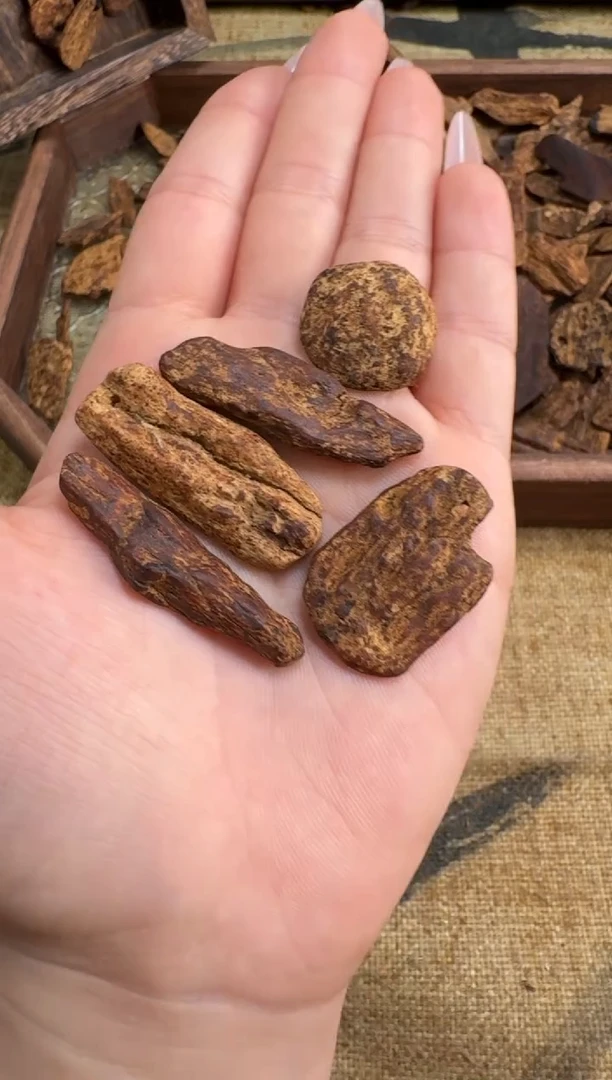 沉香碎屑沉香越南惠安红土多样性发一