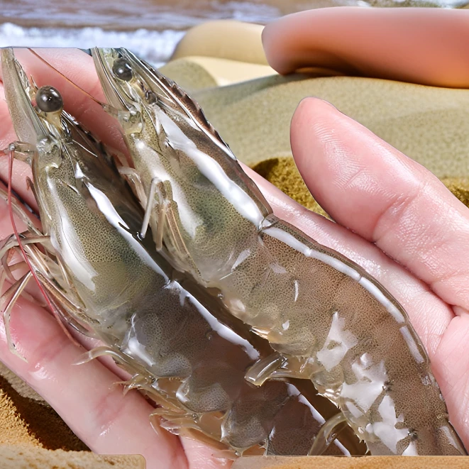【渤海湾野生大对虾】只适合扒虾仁/冷冻发货/介意慎拍/顺丰包邮