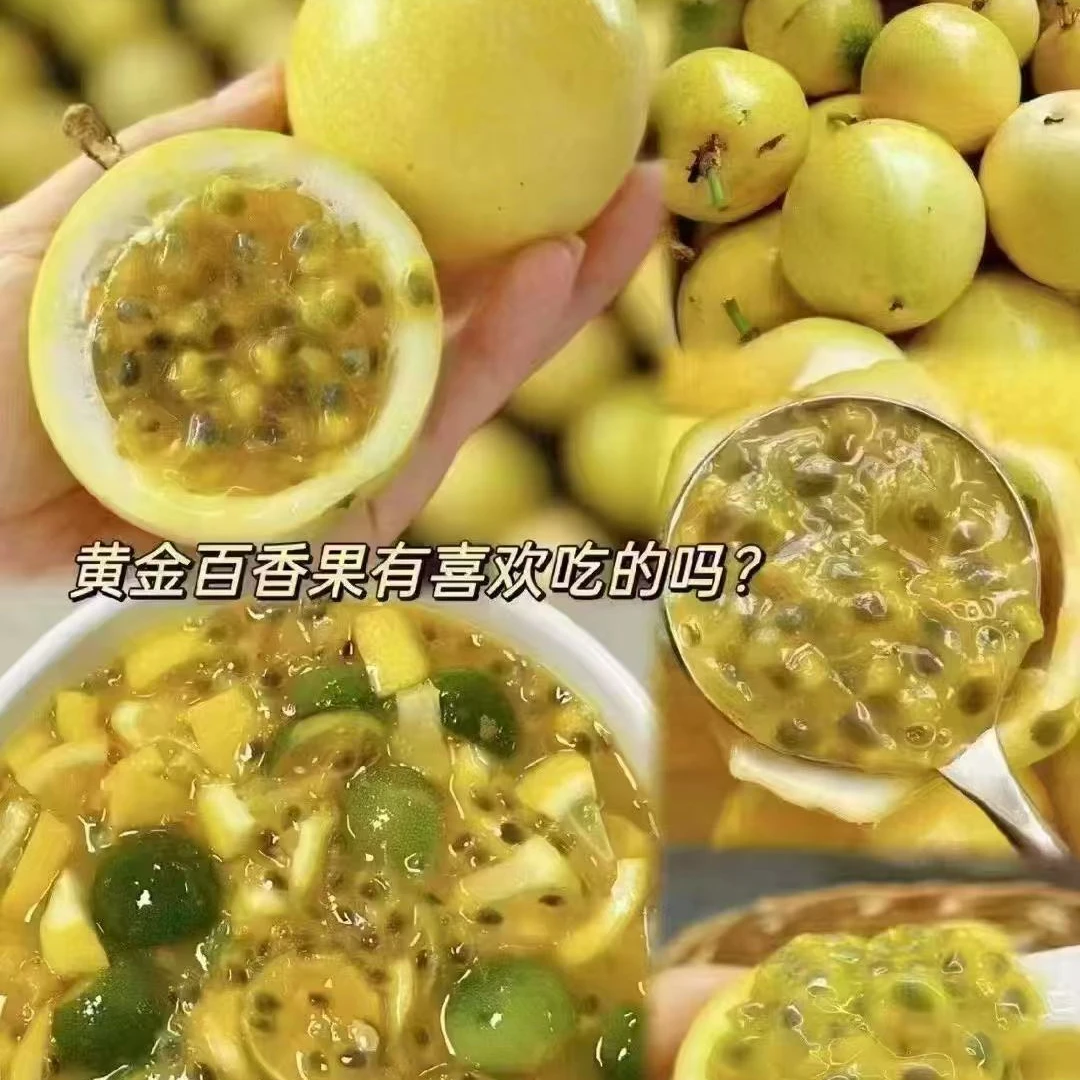 黄金百香果 12个装