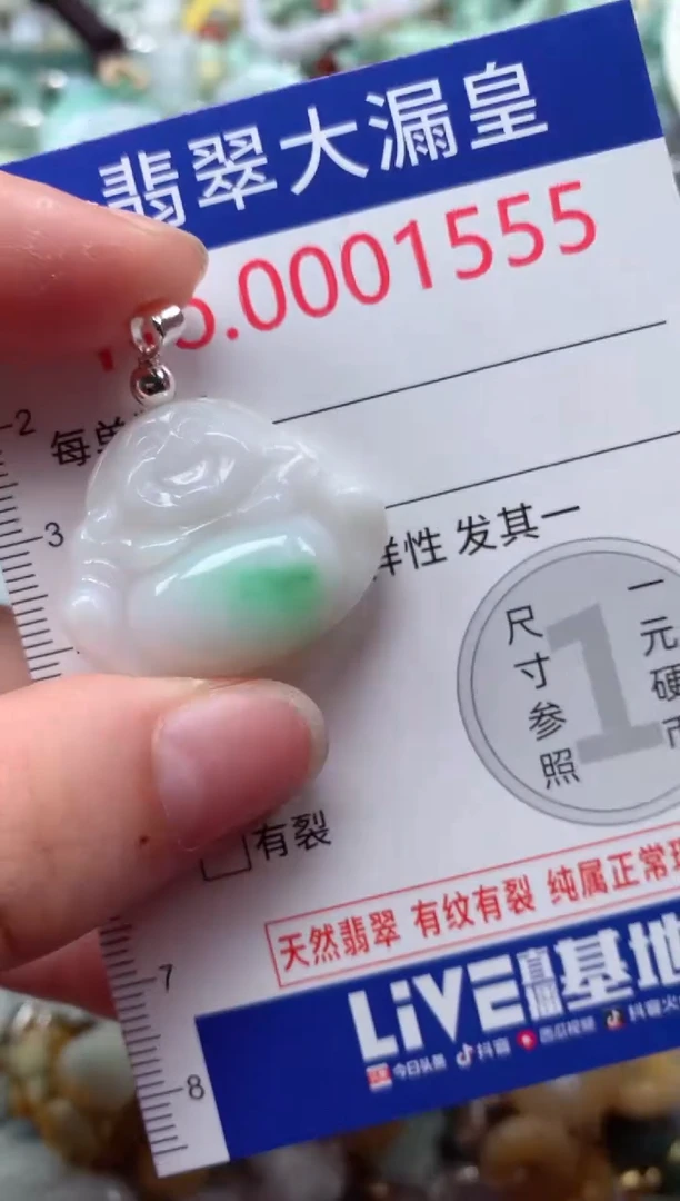 翡翠未镶嵌吊坠(不含链)1555