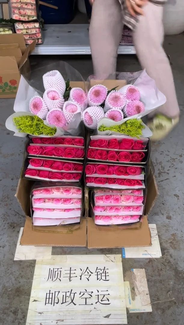 佛洛依德20枝+洛神20枝+粉色乒乓菊10枝+黄莺