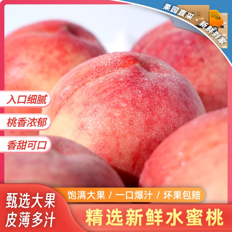 河北邮政甄选红梅水蜜桃新鲜采摘富硒水蜜桃现摘现发可口多汁蜜桃