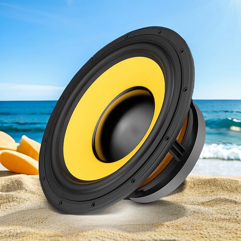 惠威 F10 低中音喇叭扬声器