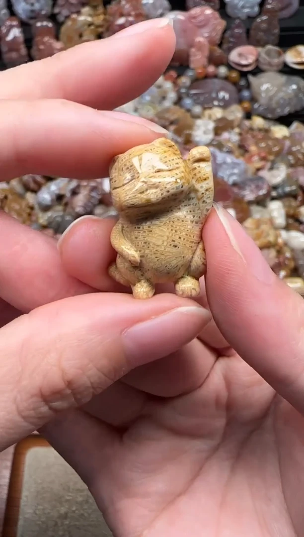 颈饰未镶嵌硅化珊瑚（珊瑚玉）702