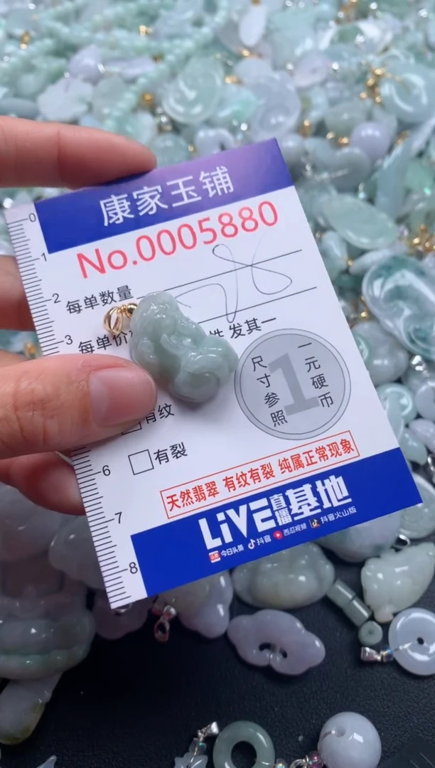 颈饰未镶嵌翡翠5880