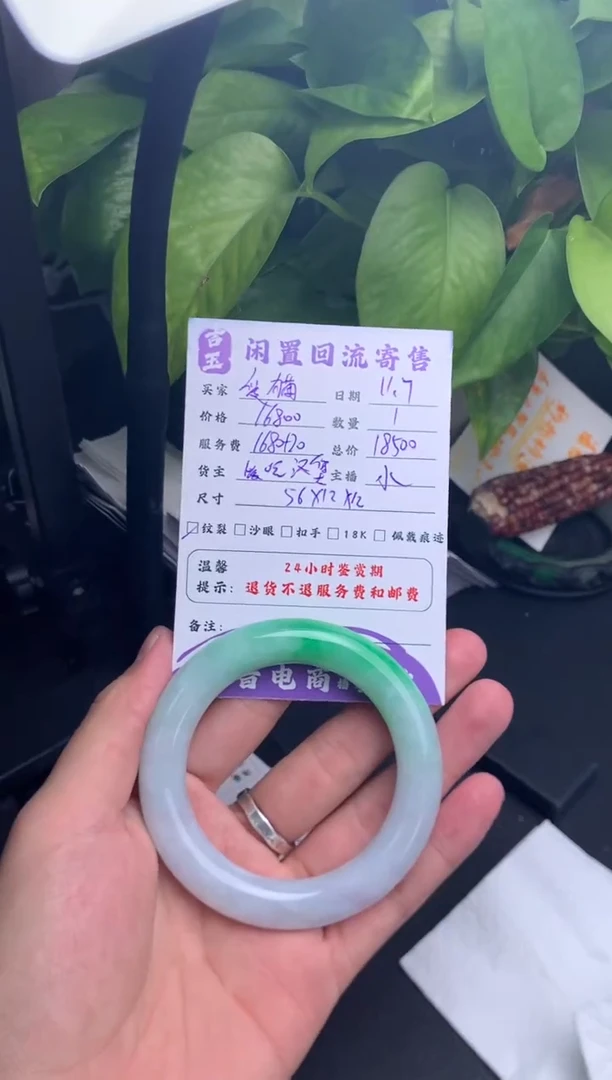 未镶嵌手镯翡翠爱***儿手镯分单2