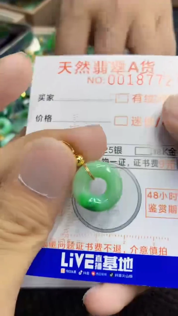 翡翠未镶嵌吊坠(不含链)1