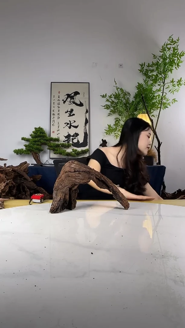 赤拍这个定向编号22